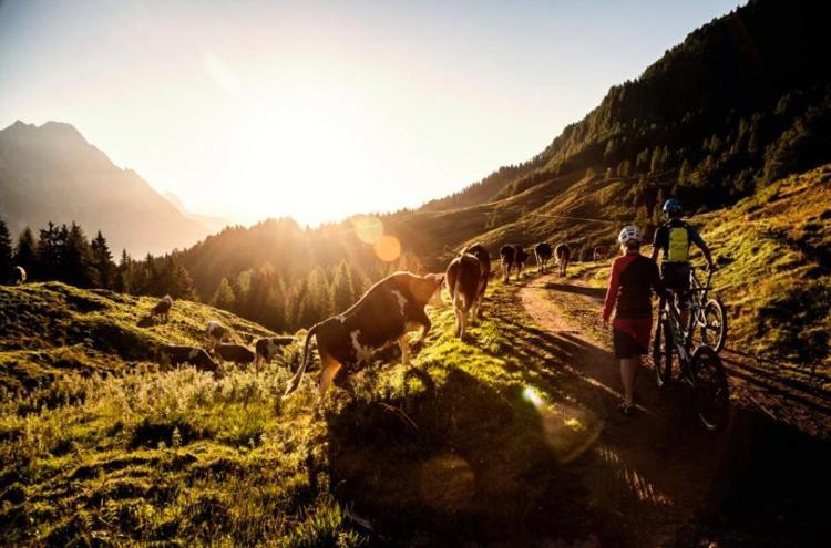 Apartmán Poechtlhof Leogang Exteriér fotografie